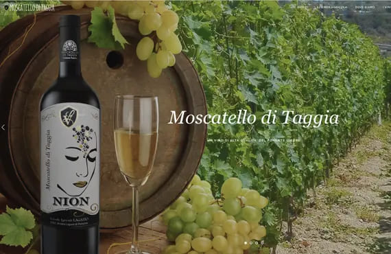 Realizzazione sito web Vini Moscatello di Taggia