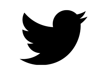 tipo di logo Brandmark twitter